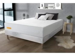 Matelas 140x200 Memo Bio Mousse à Mémoire De Forme 5 Zones De Confort Maxi épaisseur Déhoussable