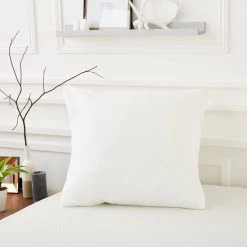 Lot De 2 Protèges Oreillers Anti-acariens Et Anti-punaises Sans Traitement